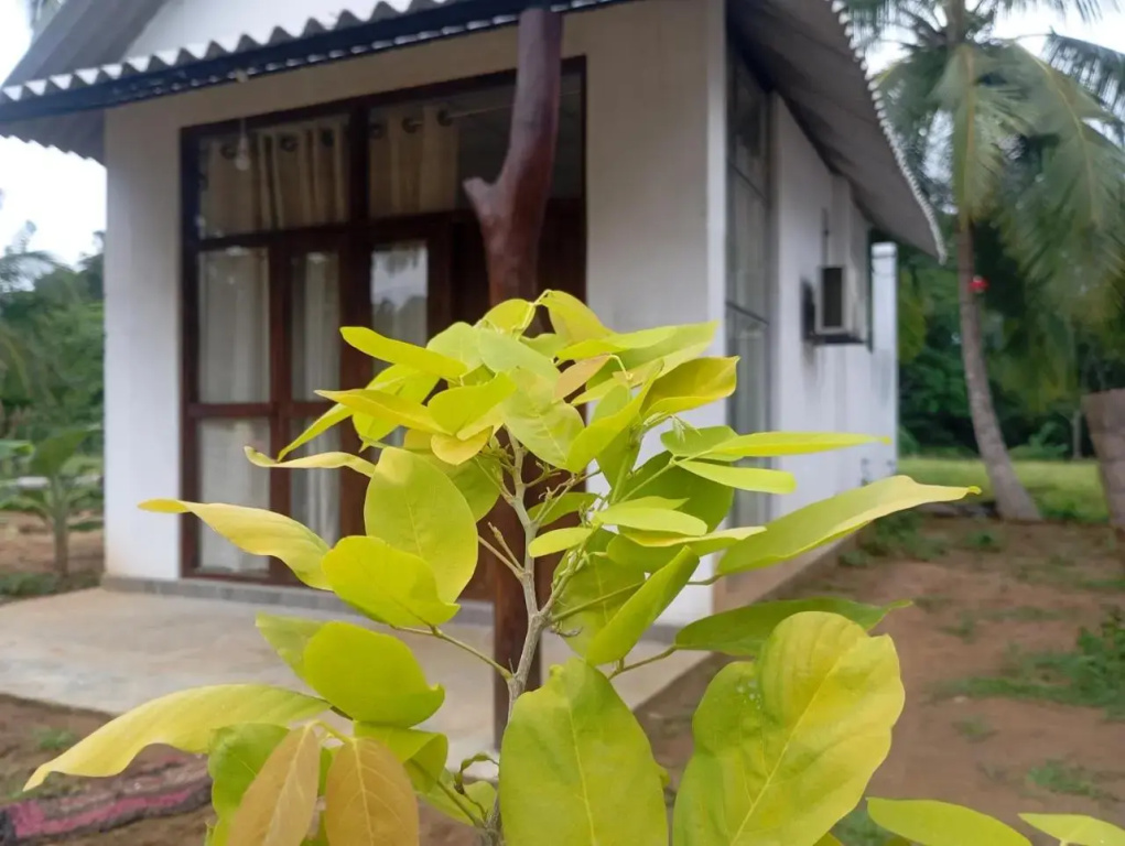 Big House Udawalawe