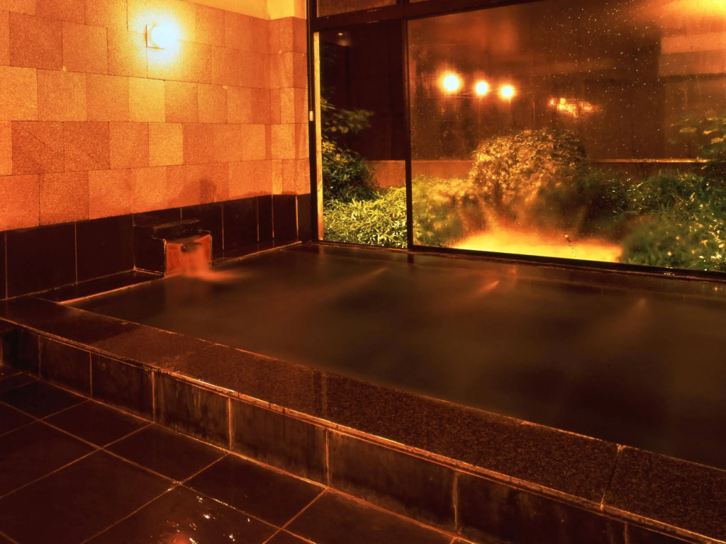 Hotel photo 12