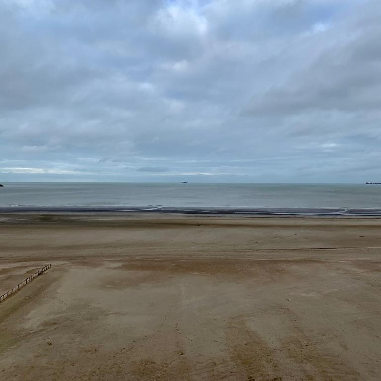 Sea and Dunes