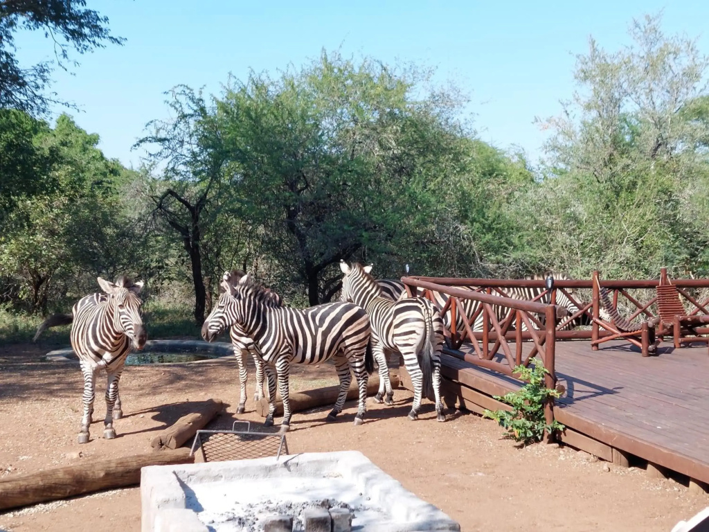 Khumbula iAfrica 2