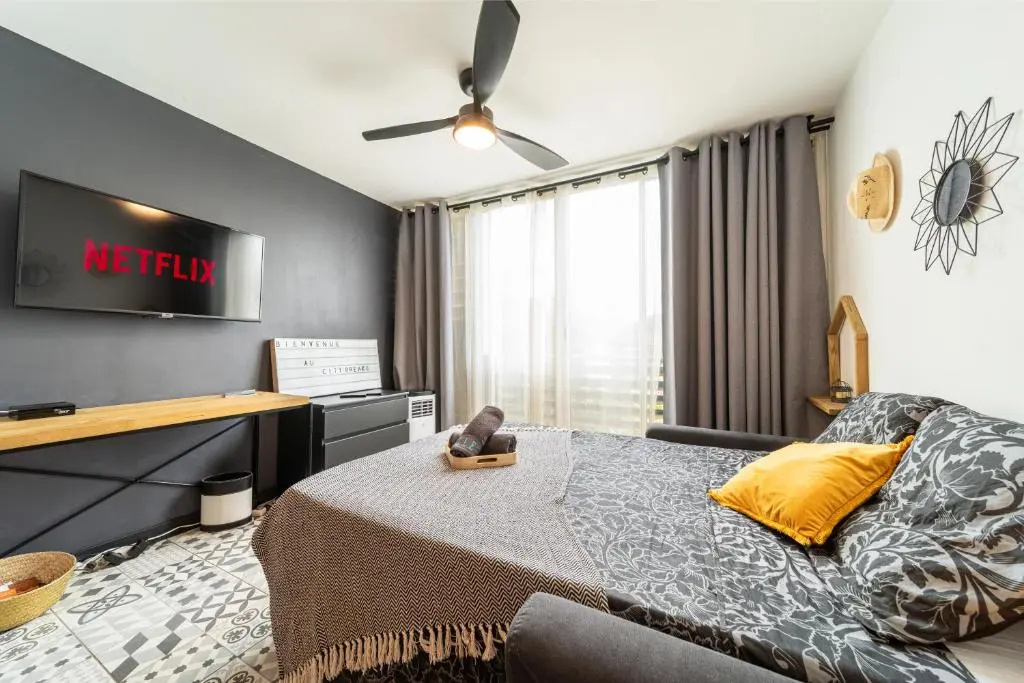 LE CITYBREAK - Studio hypercentre Saint Denis