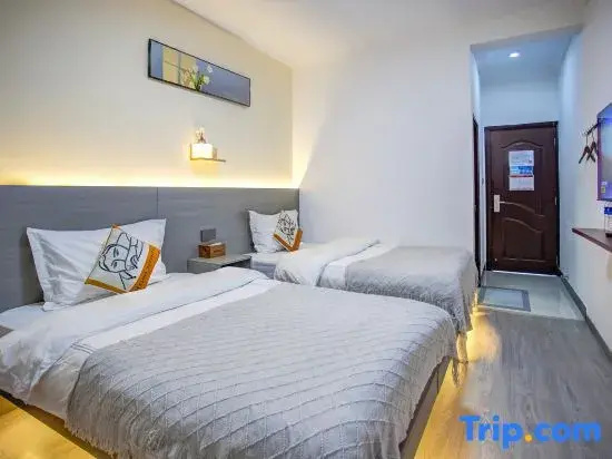 Standard Double room (twin beds)