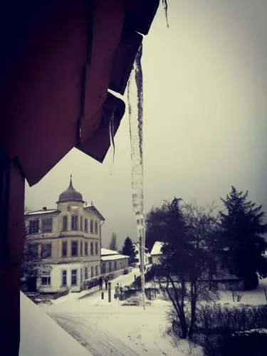 Gästehaus & Restaurant Seemannshus (Pension)