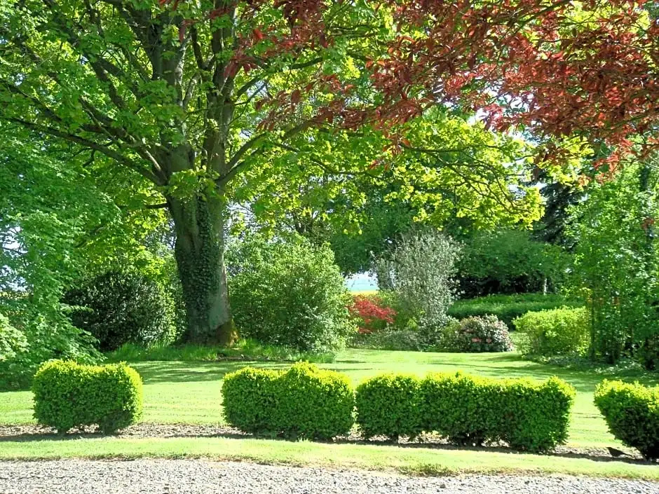 Voir la photo 3 — La Maison Blanche