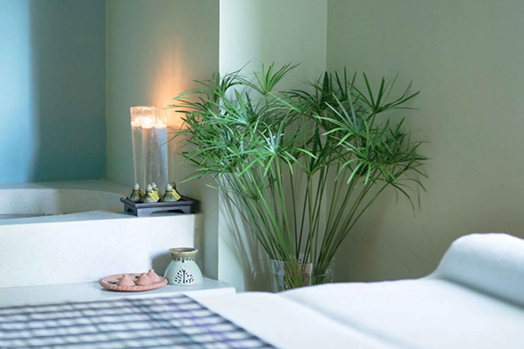 Wishing Tree Khon Kaen Resort — фото 5