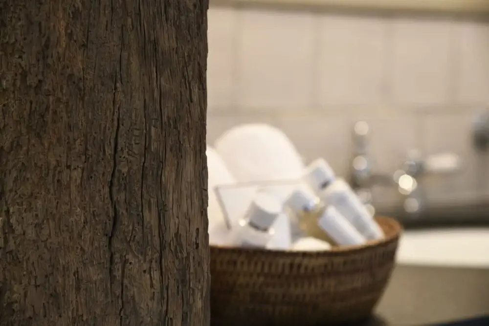 Spa & Wellness