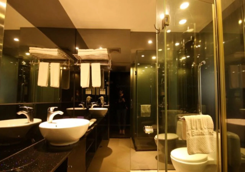 Henry Business Hotel - Général