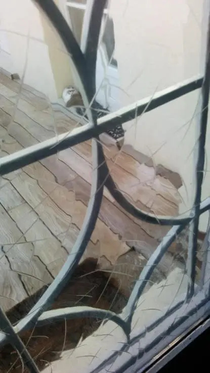 Voir la photo 1 — Chambre en ville dans un esprit campagne