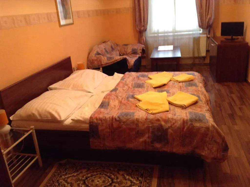 Standard Double room (full double bed)