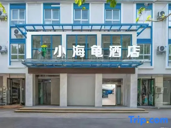 Turtle’s Hotel