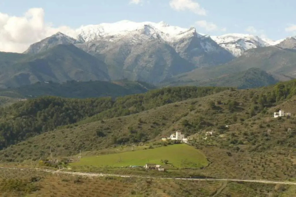 Chalet