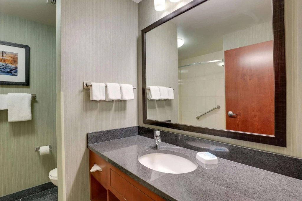 Drury Inn & Suites Grand Rapids - Général