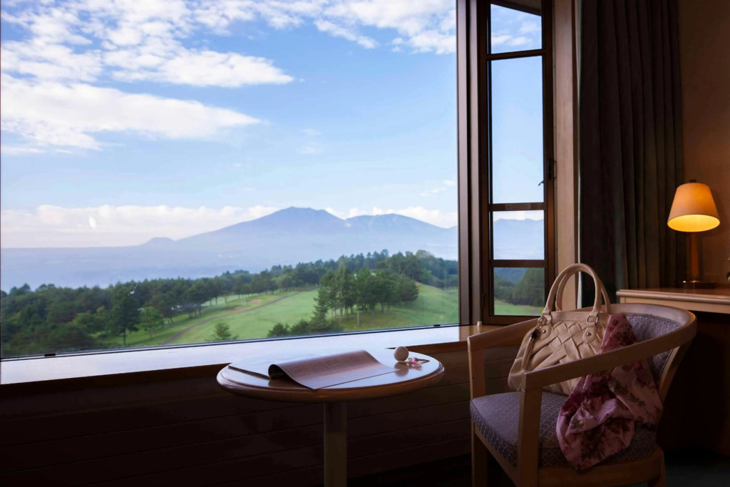 Tsumagoi Prince Hotel - Général