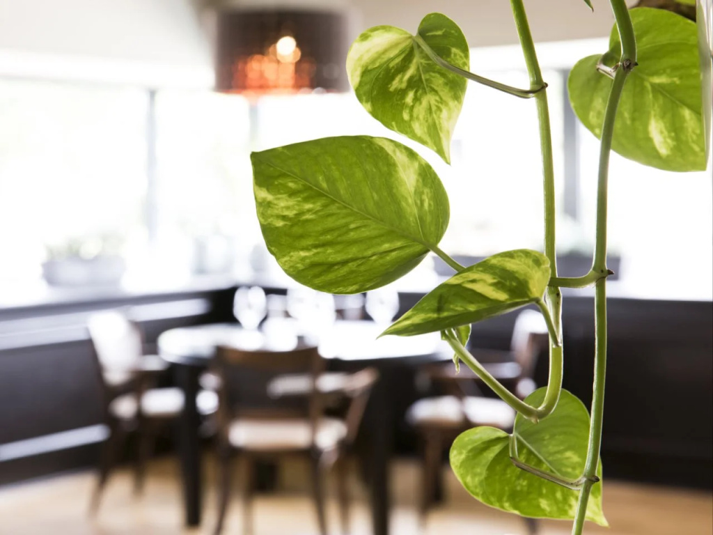 Fletcher Hotel-Restaurant Emmen - Général
