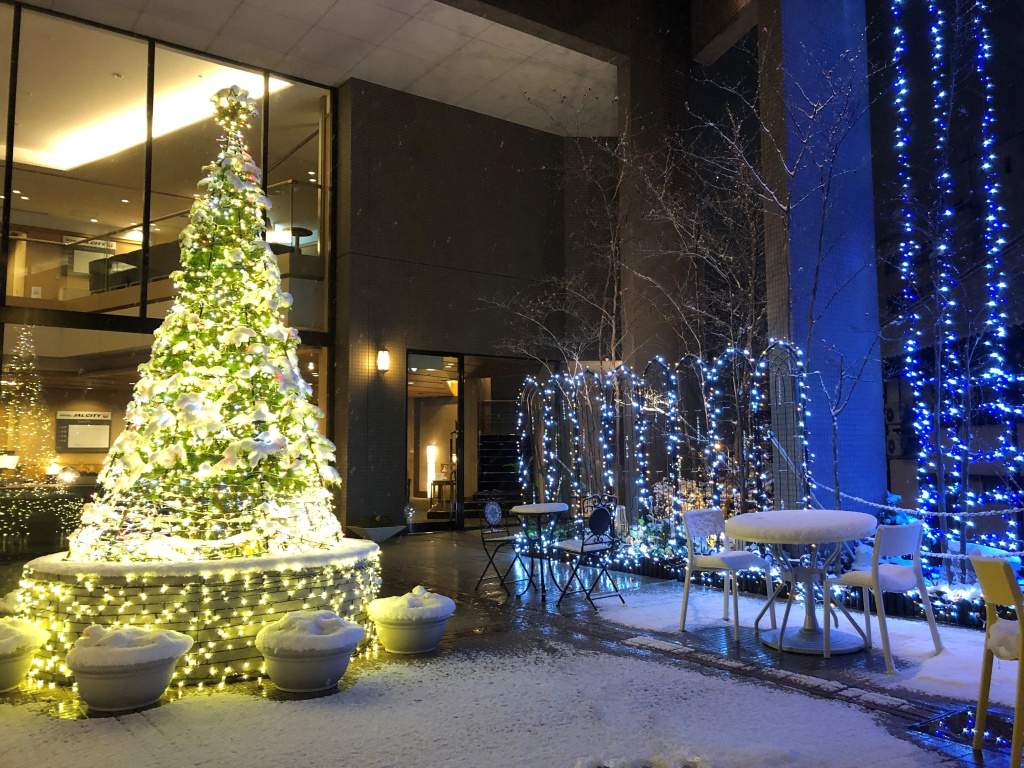 Hotel JAL City Nagano - Général