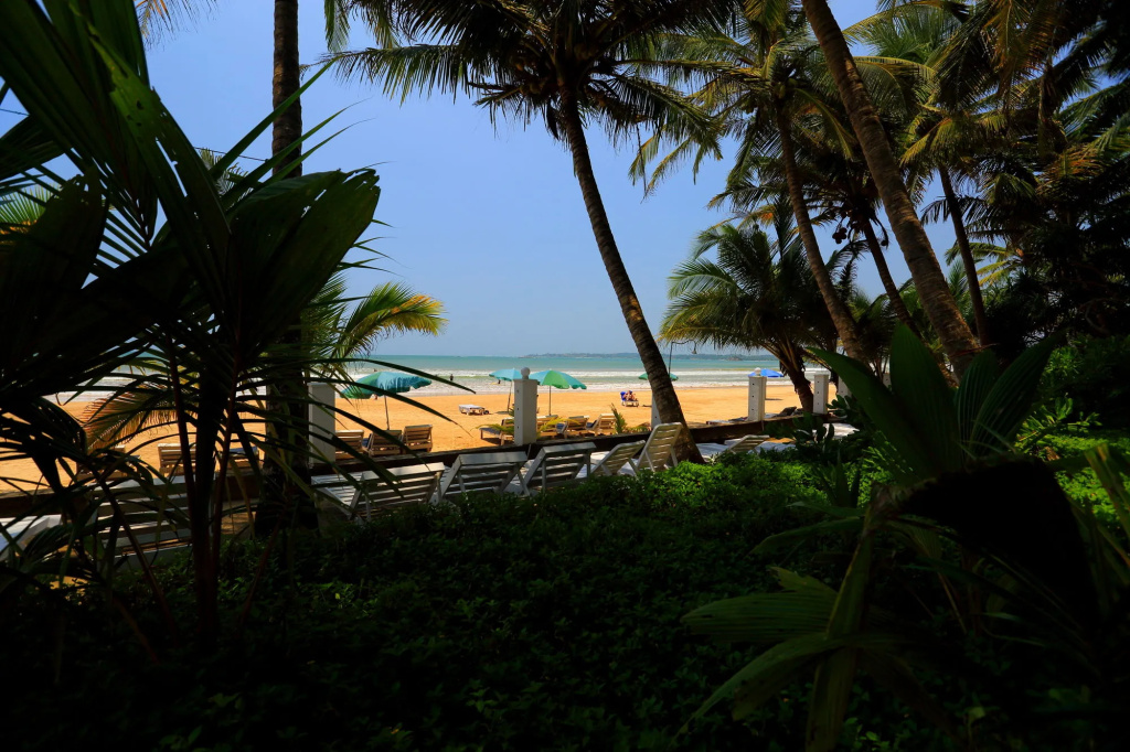 Beach & Waterfront