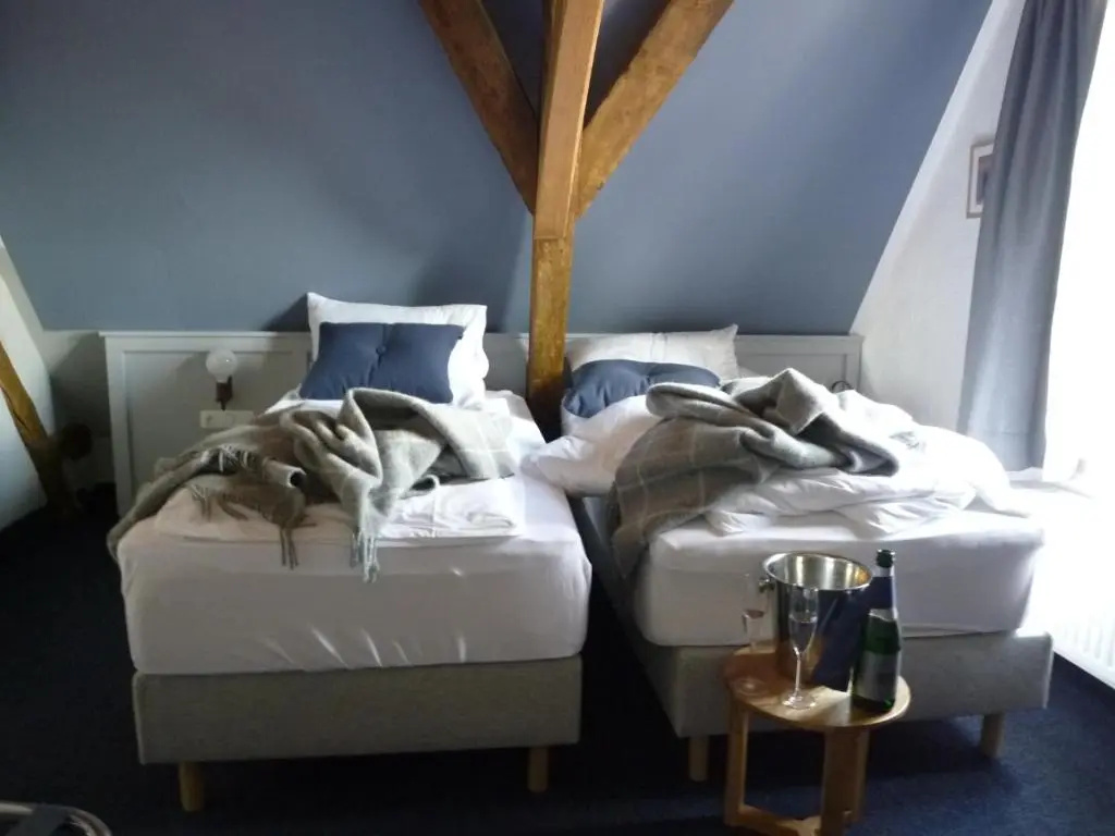 Standard Double room (twin beds)