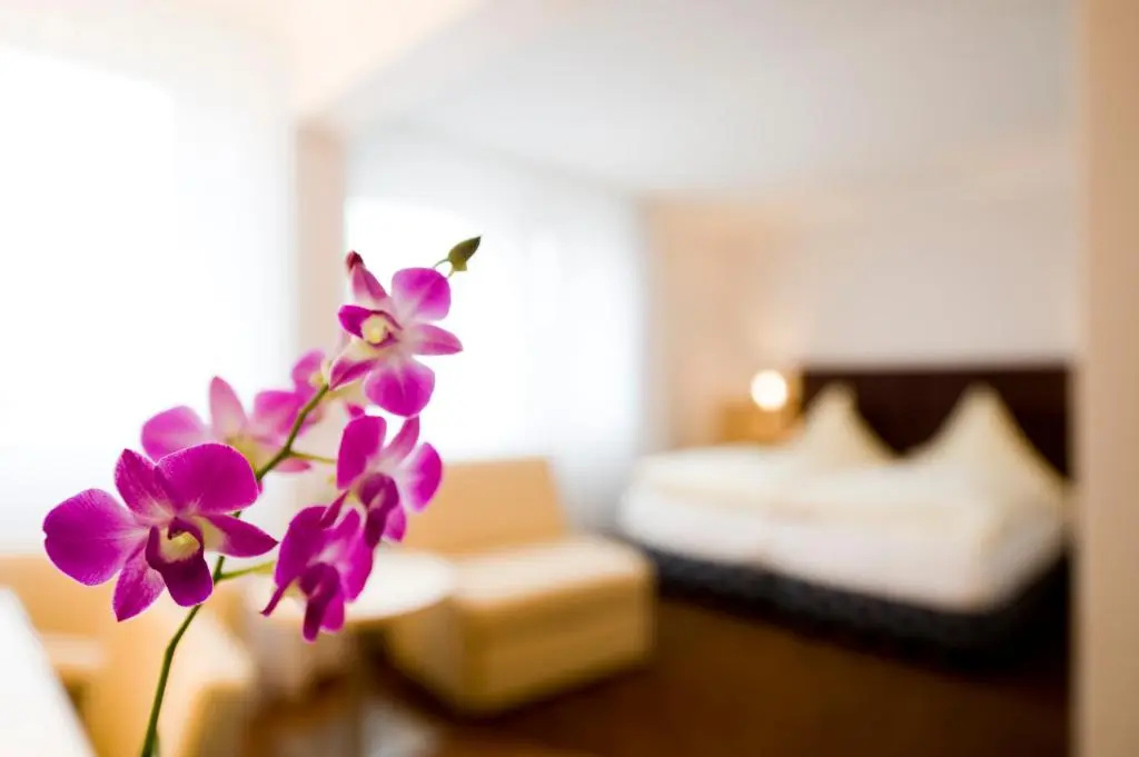Hotel Lücke - Chambres