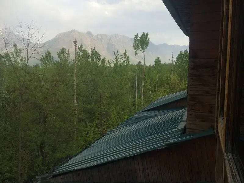 The Oasis Srinagar - Général