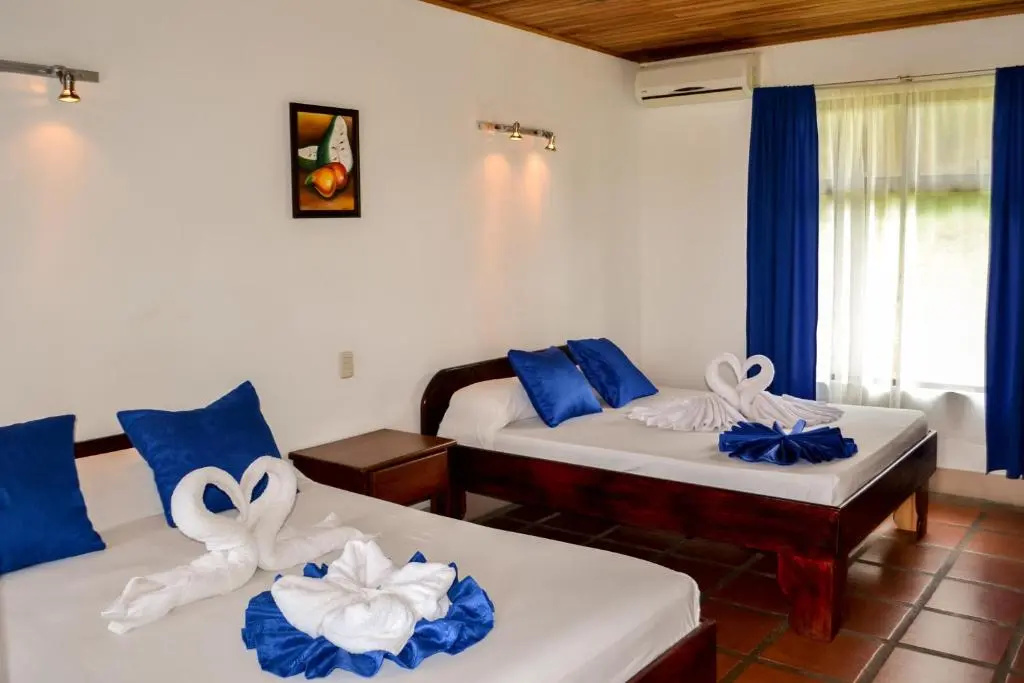 Termales del Bosque & Hot Springs - Chambres