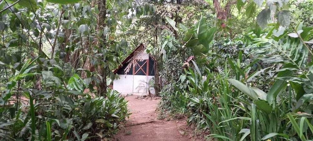 Costa Rica Glamping - фото 2