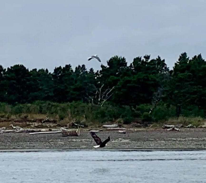 Tillamook Bay City RV Park