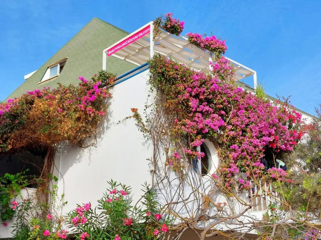 Beach penthouse 12p, Fiber WiFi, 2 rooftopbars, 2 outdoor kitchens, outdoor shower, spectacular 180 degrees ocean view!
