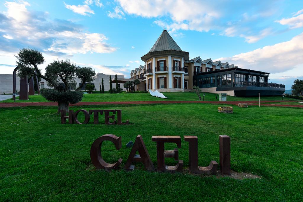 Hotel Caeli & Caeli Winery by null