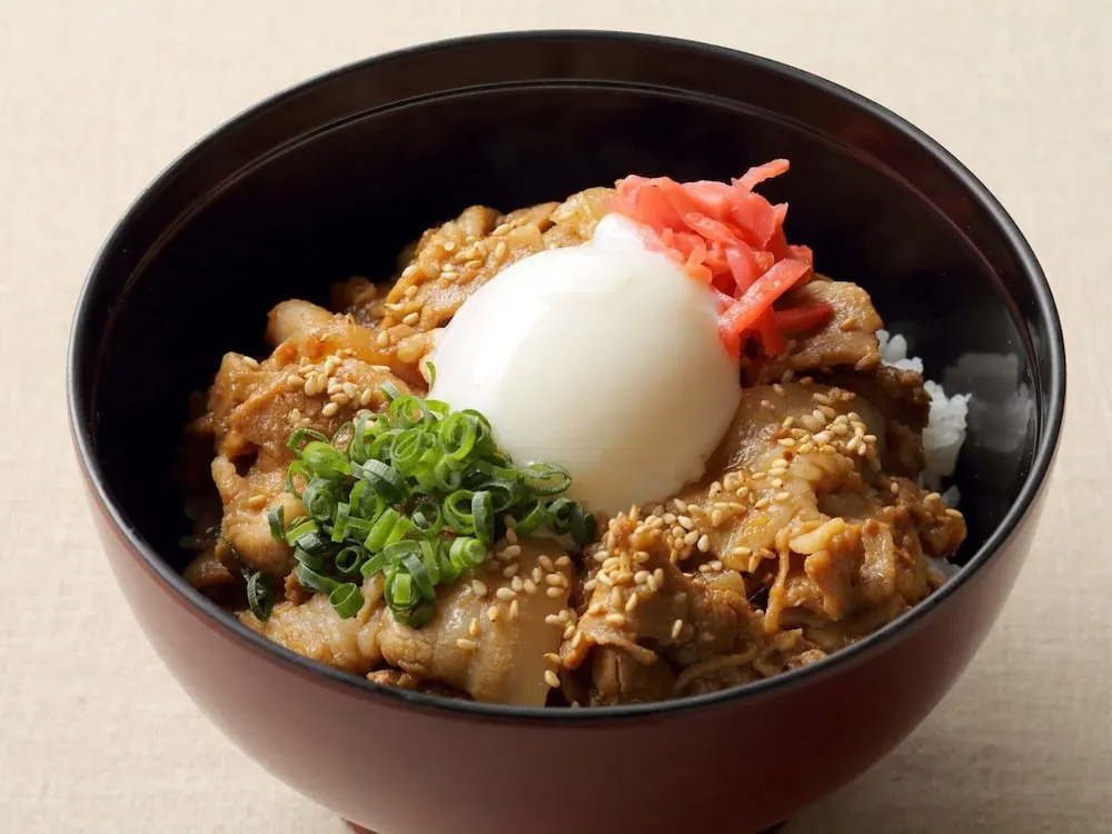 Akishima Station Hotel TOKYO - Général