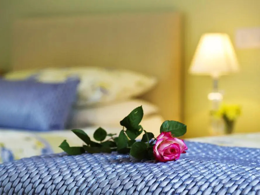 Copper Meadow - Chambres