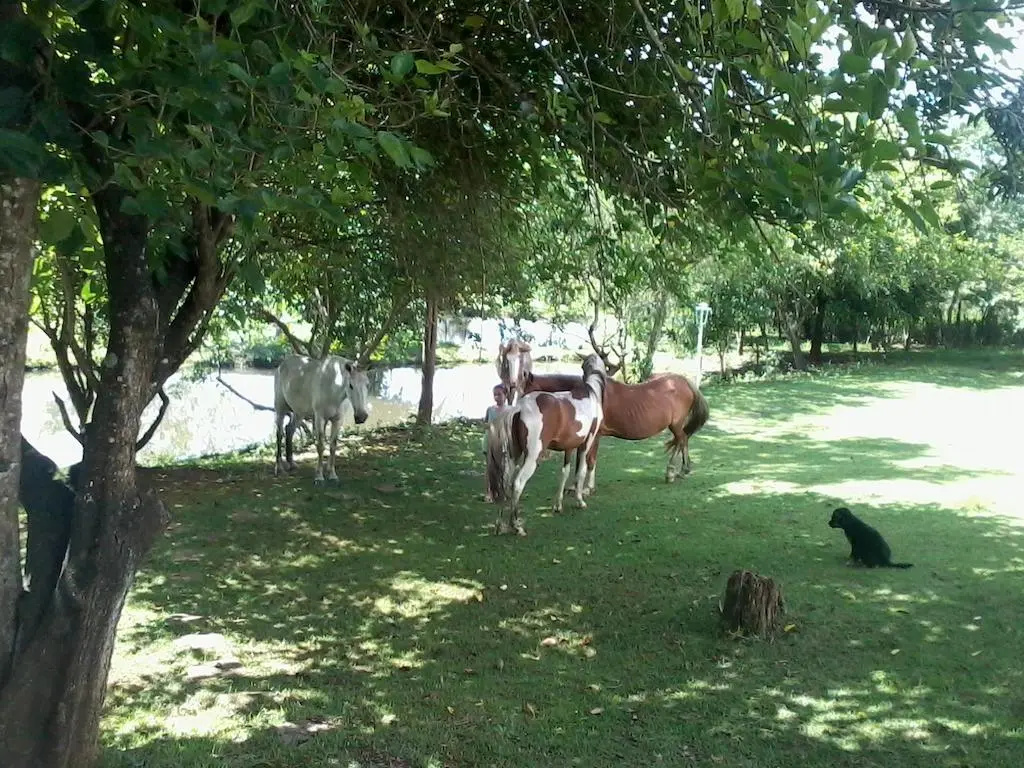 Recanto Do Teimoso Pouso Alegre