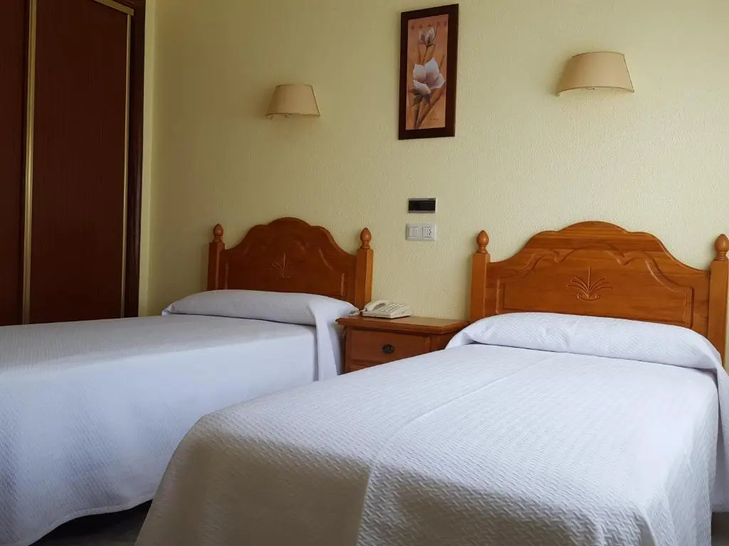 Standard Double room (twin beds)