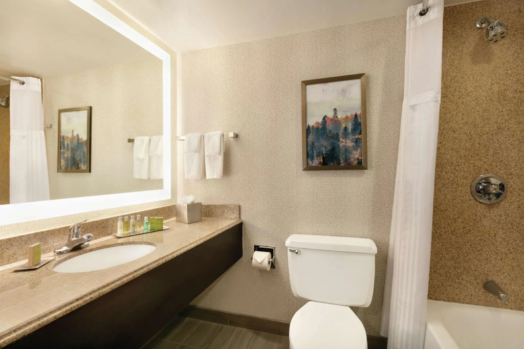 DoubleTree by Hilton Atlanta - Northlake - Chambres