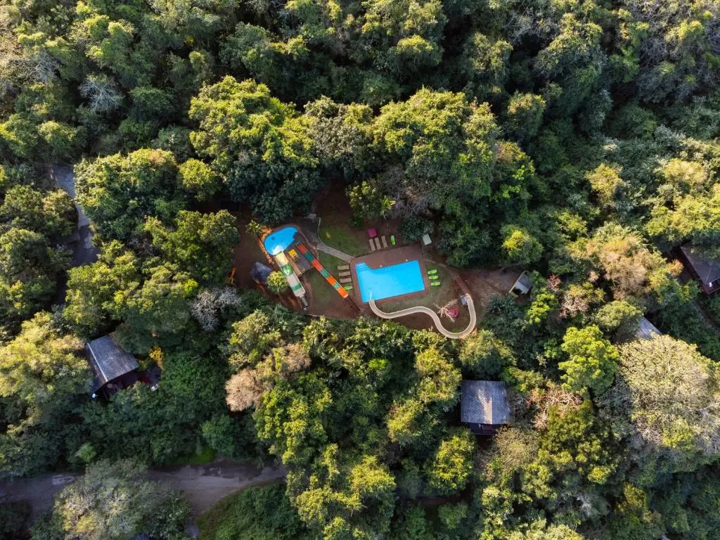 Mtunzini Forest Lodge Self Catering