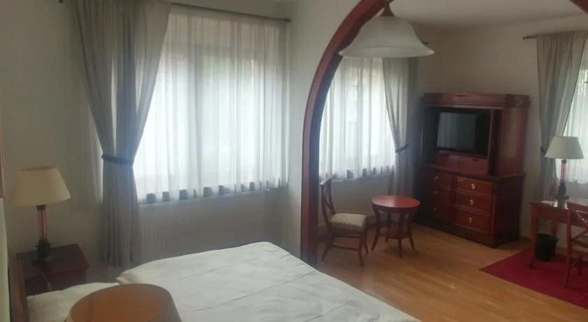 Hotel U Dobrého Lva - Général