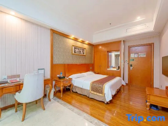Standard Double room with city view full double bed