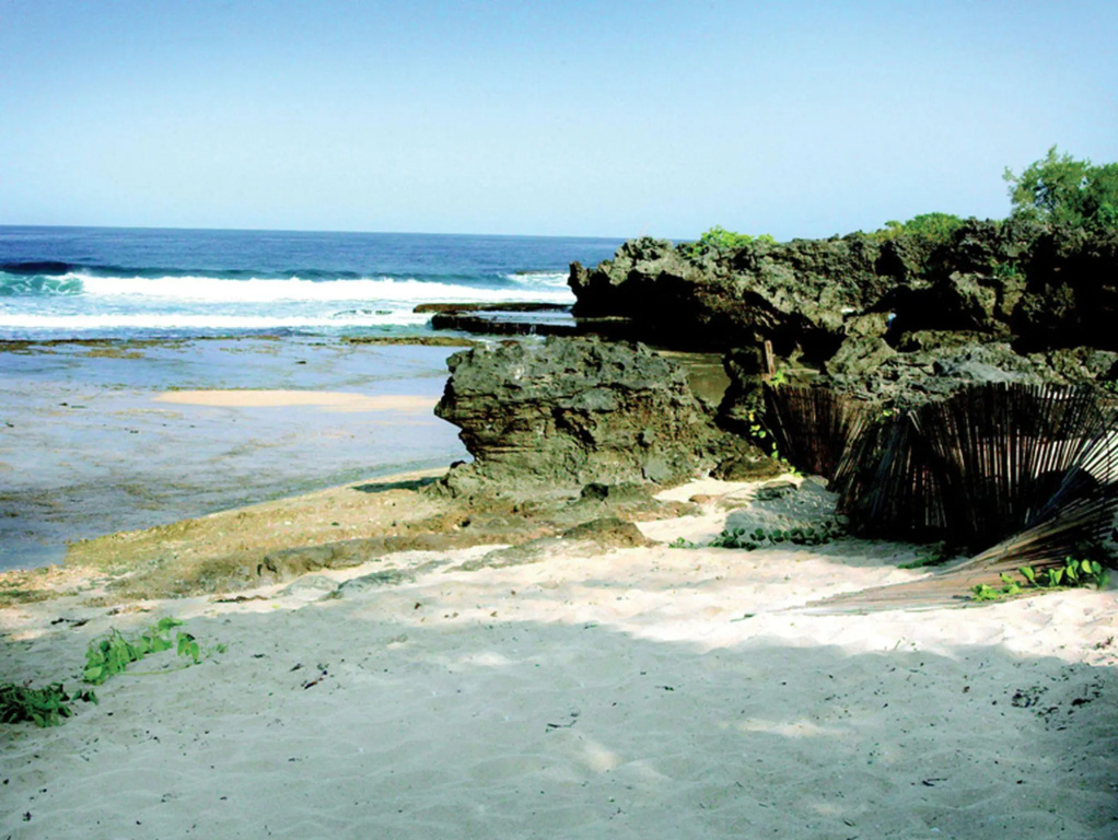 Beach & Waterfront