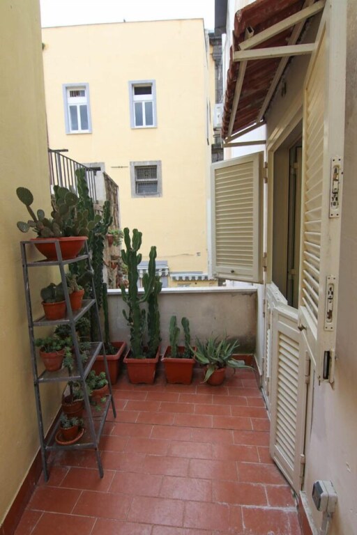 Image 14