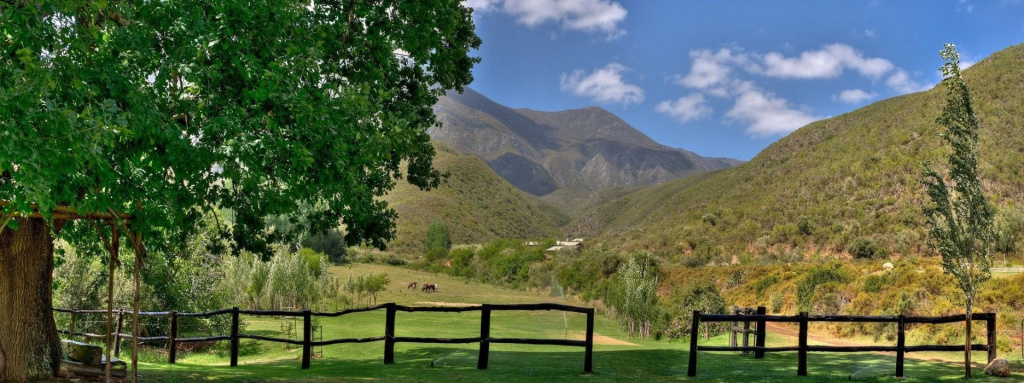 Pat Busch Mountain Reserve