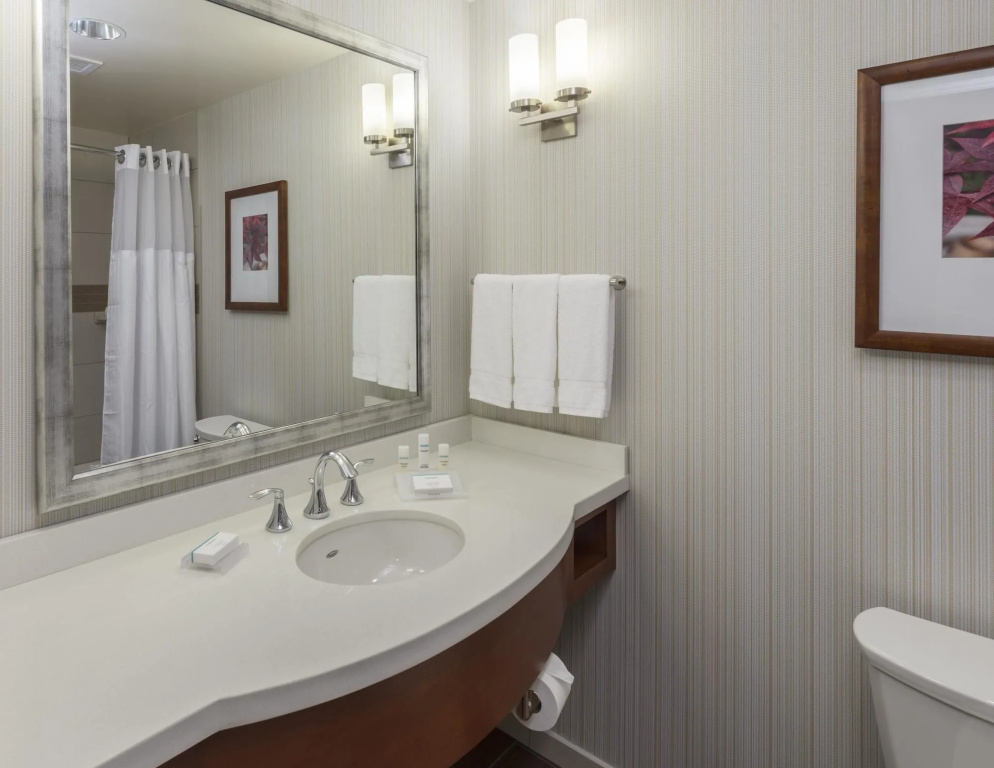 Hilton Garden Inn Alexandria Old Town National Harbor - Général