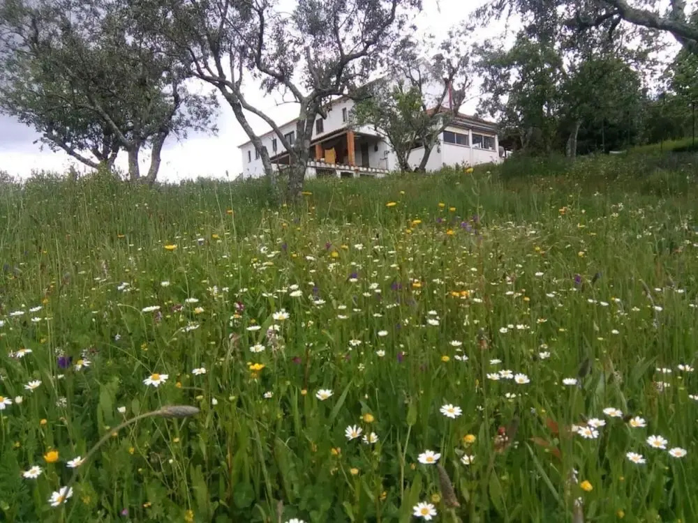 Refugio da Montanha Amazing Views Gois Region