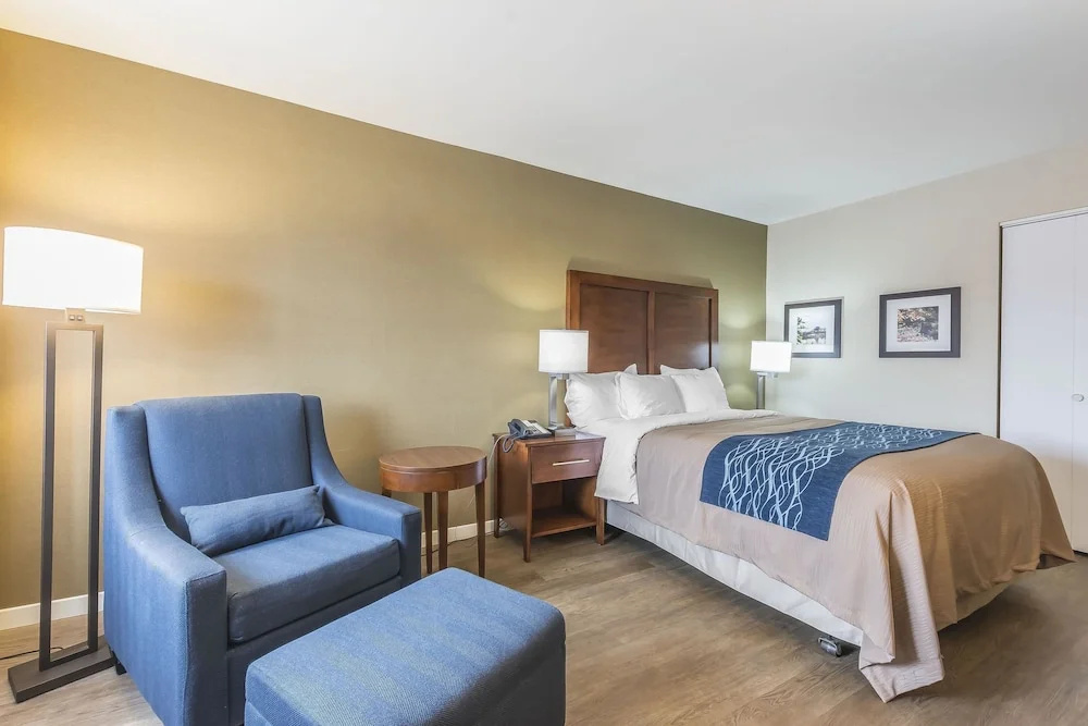 Comfort Inn - Chambres