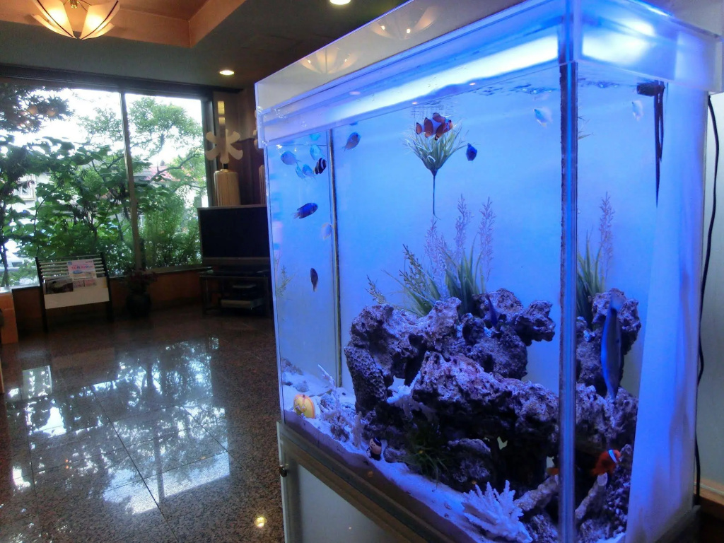Four Seasons 사진 23