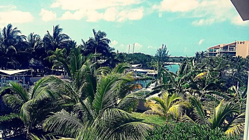 Aventura Marina - Général