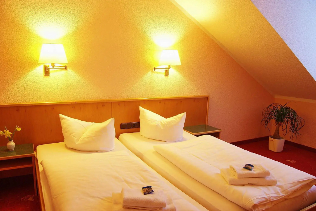 Hotel Goldener Fasan - Général