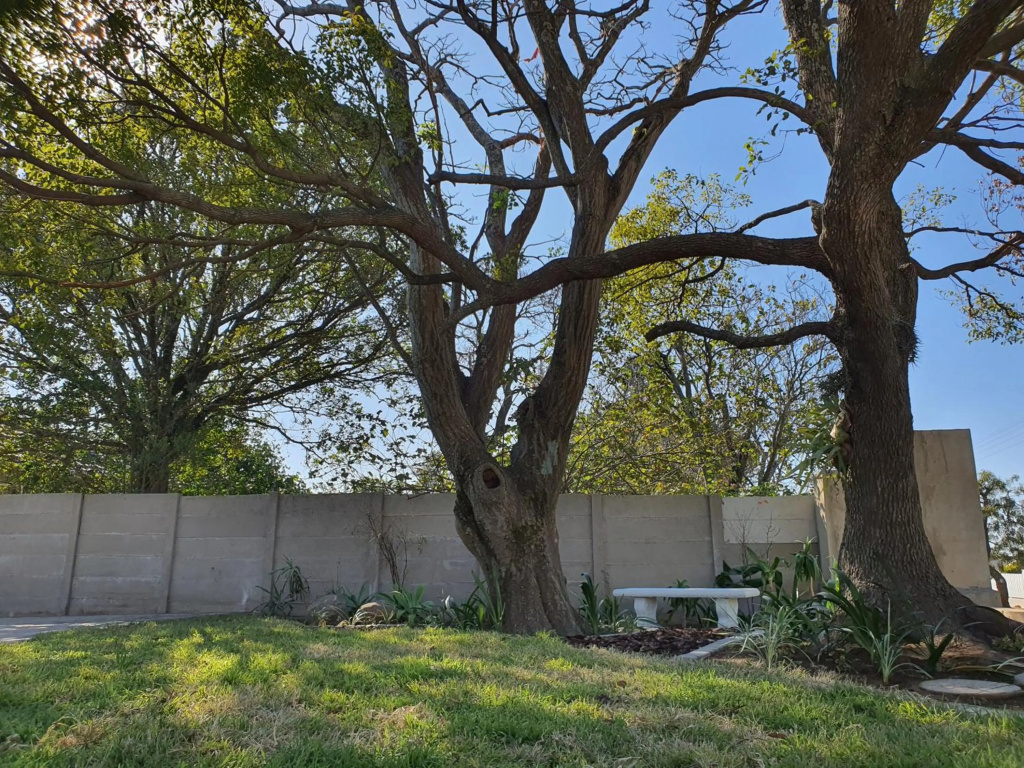 Coral Tree Boutique Guesthouse