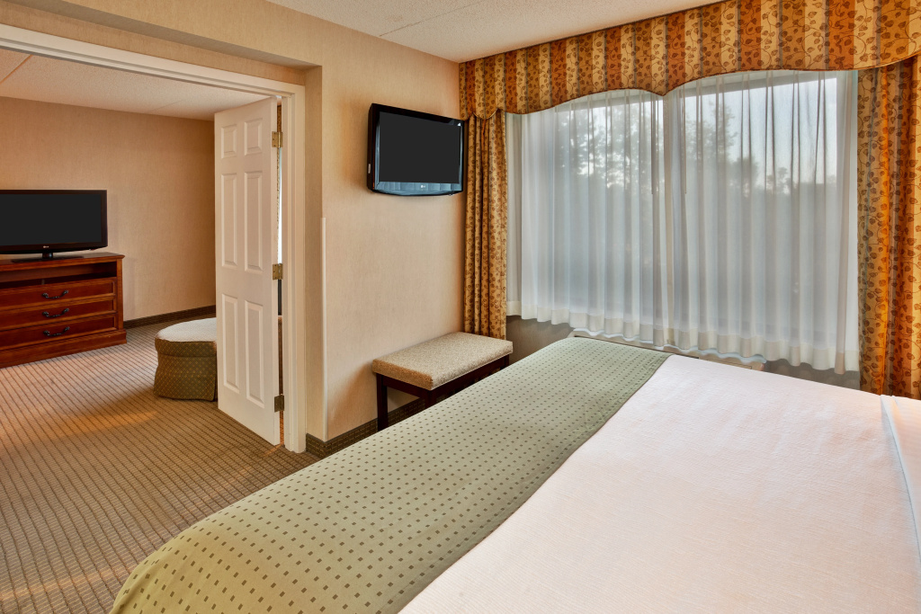 Holiday Inn & Suites Ann Arbor Univ Michigan Area by IHG - Général