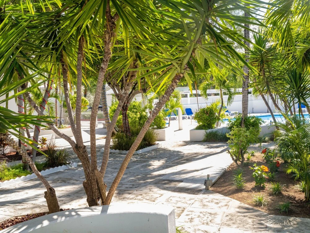 Deluxe Ocean View Villas - Just Steps From White Sand Beaches