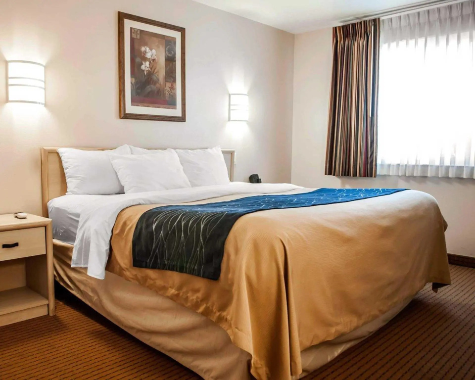 1 Bedroom Standard room