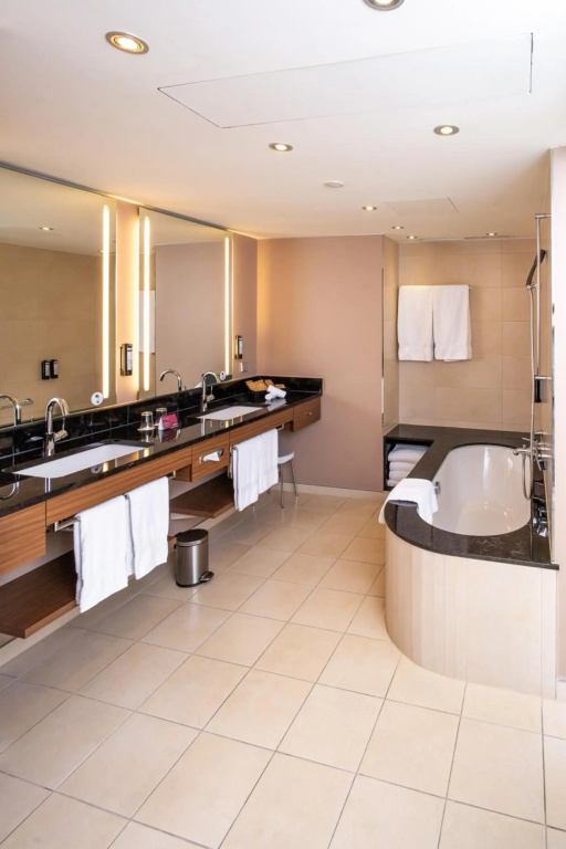 Mövenpick Hotel Geneva - Général